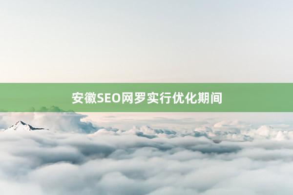 安徽SEO网罗实行优化期间